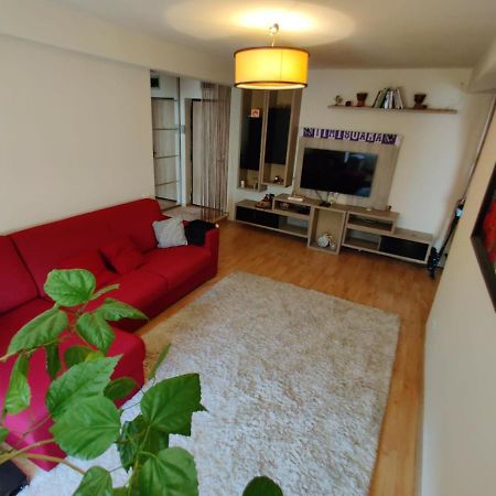 Lucky Home Timisoara 1 Екстериор снимка